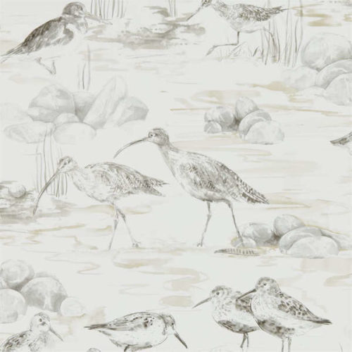 Estuary Birds 216493
